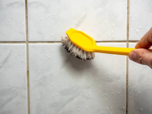 Best Mold Remediation  in Hudson, IL