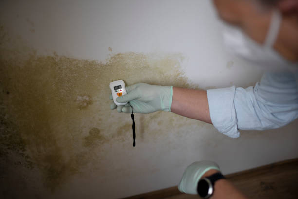 Best Mold Testing  in Hudson, IL