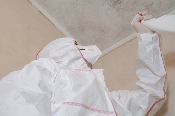 Best Residential Mold Removal  in Hudson, IL